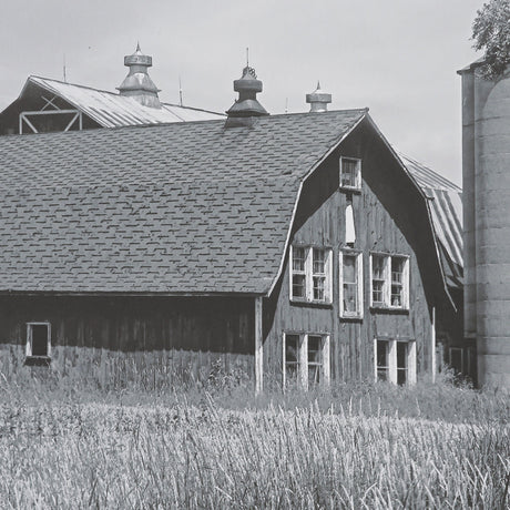 Farm Serenity I by Leda Robertson Textured FramedPhoto Print Matted under Glass by Mercana at Eve Furniture