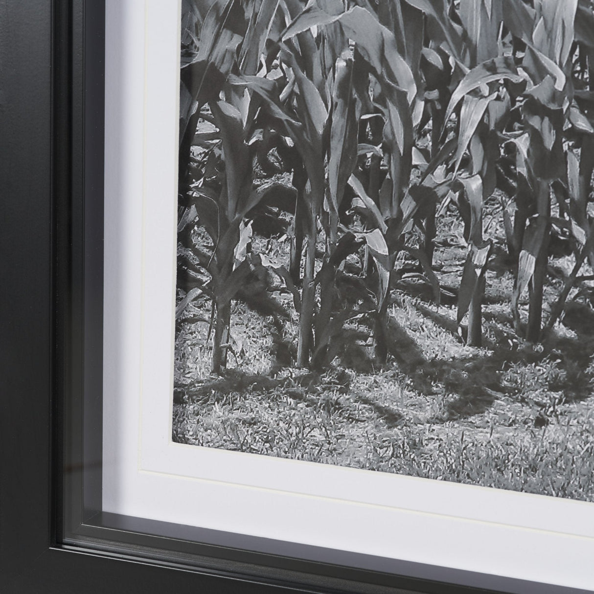 Farm Serenity II by Leda Robertson Textured FramedPhoto Print Matted under Glass by Mercana at Eve Furniture