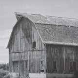 Farm Serenity II by Leda Robertson Textured FramedPhoto Print Matted under Glass by Mercana at Eve Furniture