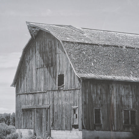 Farm Serenity II by Leda Robertson Textured FramedPhoto Print Matted under Glass by Mercana at Eve Furniture