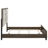 Farre Dark Brown/Beige Queen Upholstered Platform Panel Bed by Coaster at Eve Furniture
