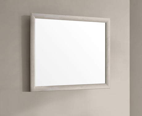 Farre Washed Grey Dresser Mirror by Coaster at Eve Furniture