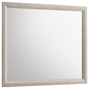 Farre Washed Grey Dresser Mirror by Coaster at Eve Furniture