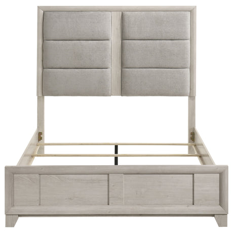 Farre Washed Grey Queen Upholstered Platform Panel Bed by Coaster at Eve Furniture