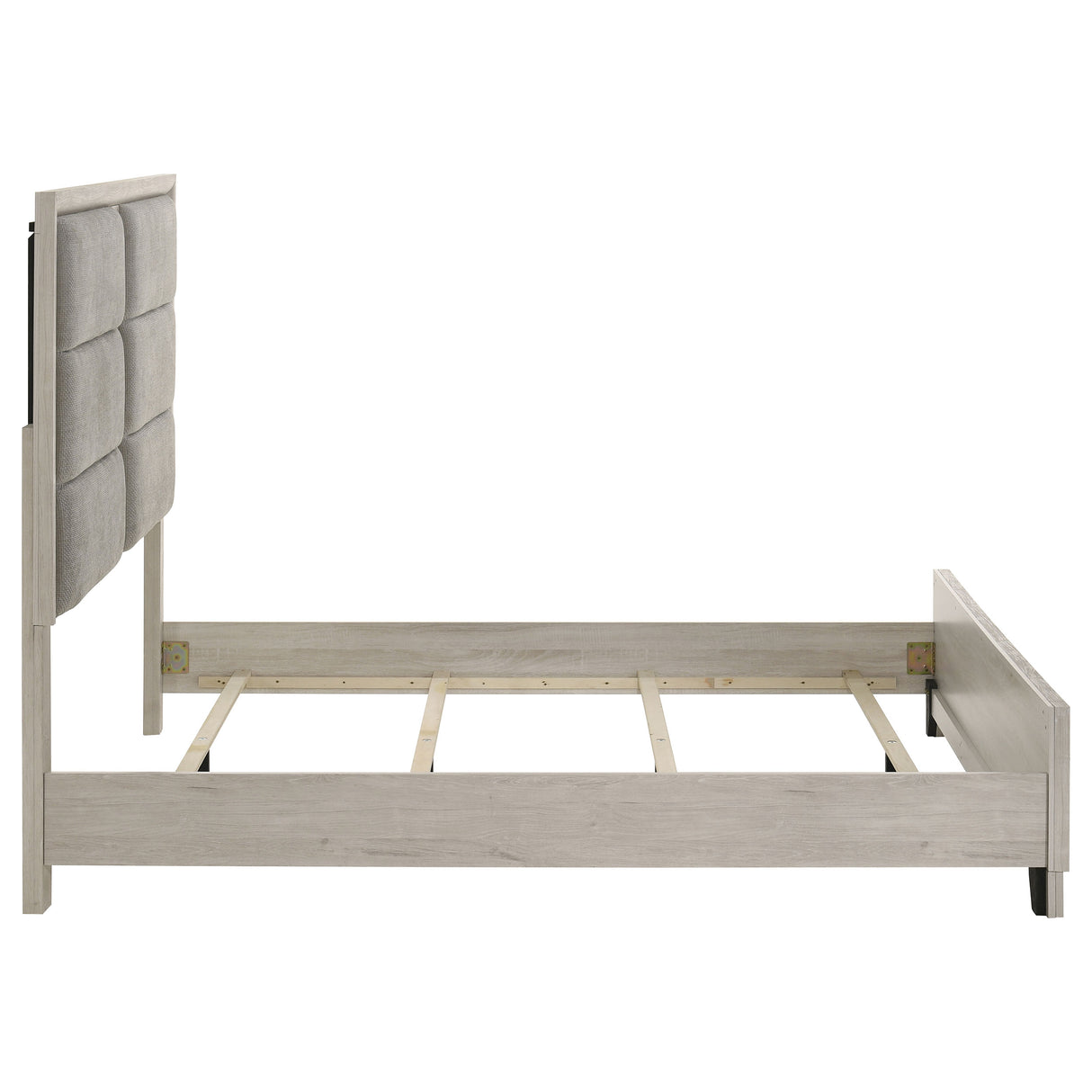 Farre Washed Grey Queen Upholstered Platform Panel Bed by Coaster at Eve Furniture