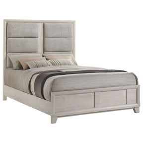 Farre Washed Grey Queen Upholstered Platform Panel Bed by Coaster at Eve Furniture