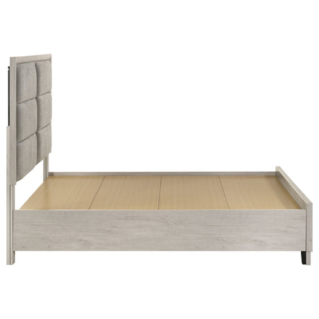 Farre Washed Grey Queen Upholstered Storage Platform Bed by Coaster at Eve Furniture