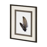 Feathered Friends by Nancy Crowell a Framed Art Print Matted under Glass by Mercana at Eve Furniture