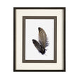 Feathered Friends by Nancy Crowell a Framed Art Print Matted under Glass by Mercana at Eve Furniture
