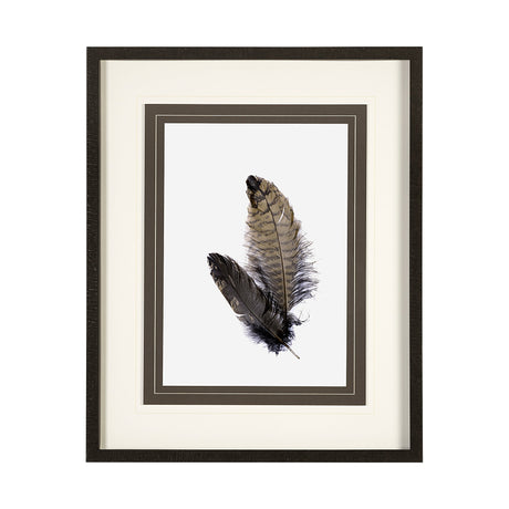 Feathered Friends by Nancy Crowell a Framed Art Print Matted under Glass by Mercana at Eve Furniture
