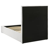 Felicity White 53-inch Upholstered Twin Platform Bed by Coaster at Eve Furniture