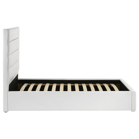 Felicity White 53-inch Upholstered Twin Platform Bed by Coaster at Eve Furniture