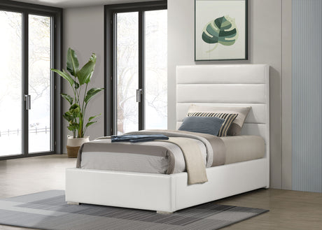 Felicity White 53-inch Upholstered Twin Platform Bed by Coaster at Eve Furniture