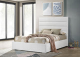 Felicity White Upholstered Full Platform Bed by Coaster at Eve Furniture