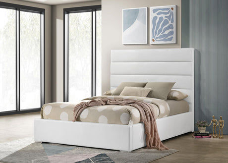 Felicity White Upholstered Full Platform Bed by Coaster at Eve Furniture