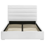 Felicity White Upholstered Queen Platform Bed by Coaster at Eve Furniture