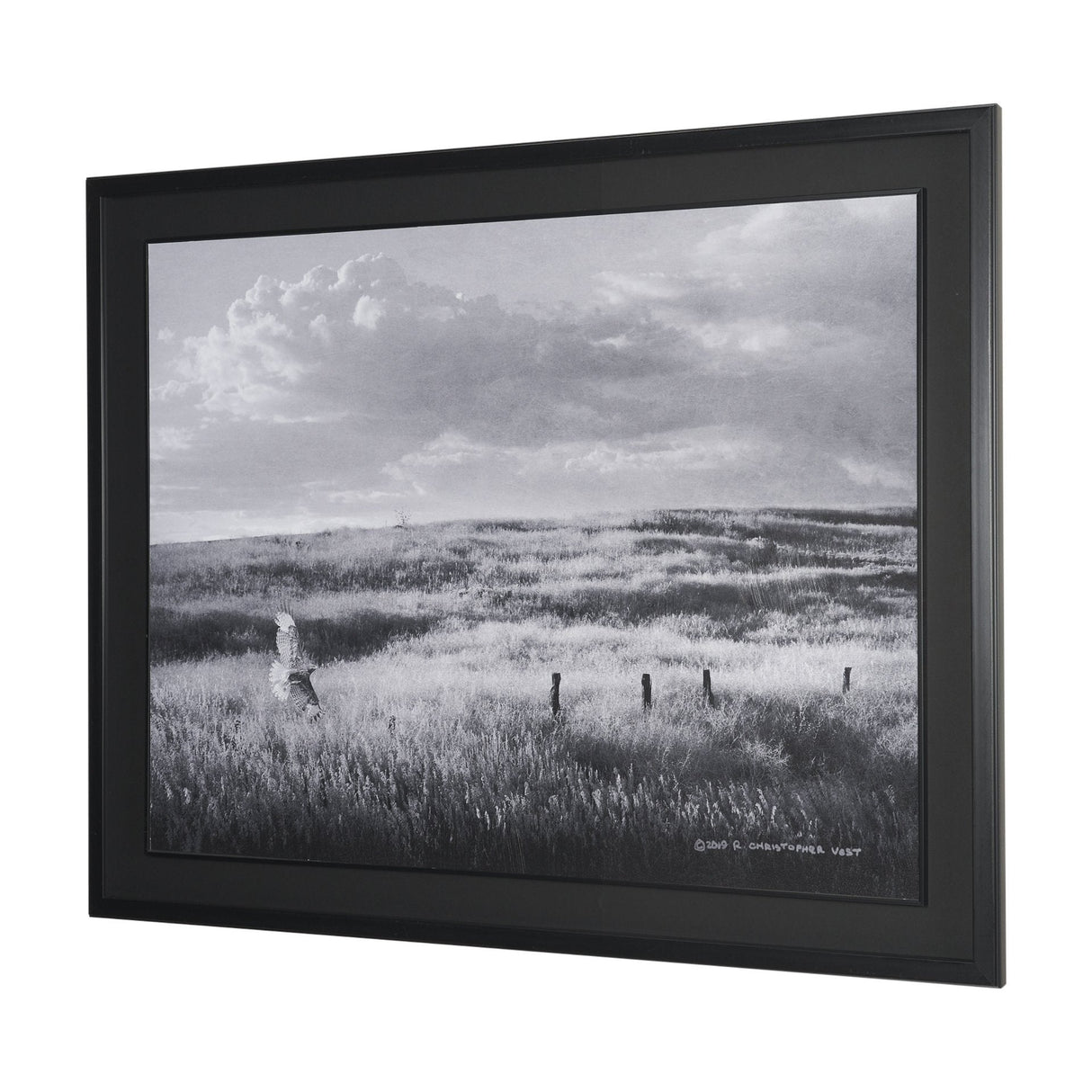 Fence Line Flight I by R. Christopher Vest Textured FramedPhoto Print Matted under Glass by Mercana at Eve Furniture