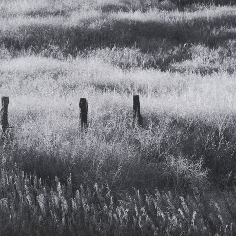 Fence Line Flight I by R. Christopher Vest Textured FramedPhoto Print Matted under Glass by Mercana at Eve Furniture