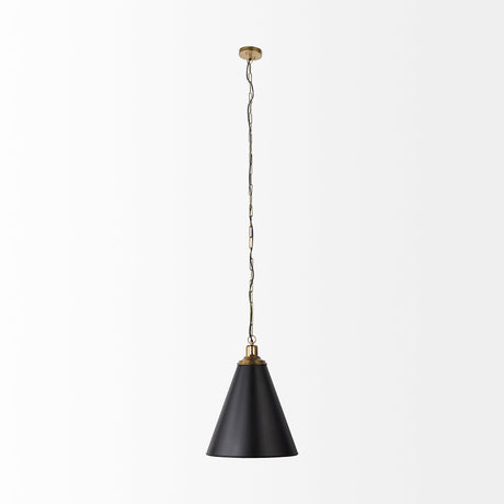 Fenton Black W/Antiqued Gold Accents Pendant Light by Mercana at Eve Furniture