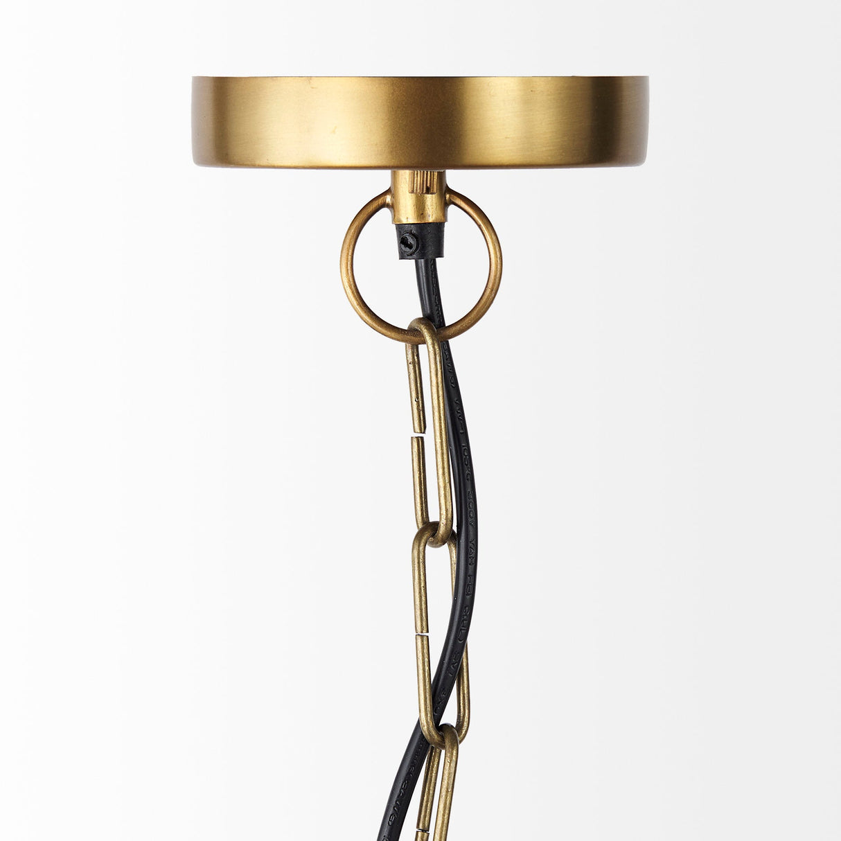 Fenton Black W/Antiqued Gold Accents Pendant Light by Mercana at Eve Furniture