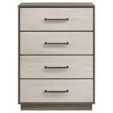 Fenwick 4-drawer Chest of Drawers Grey Oak by Coaster at Eve Furniture