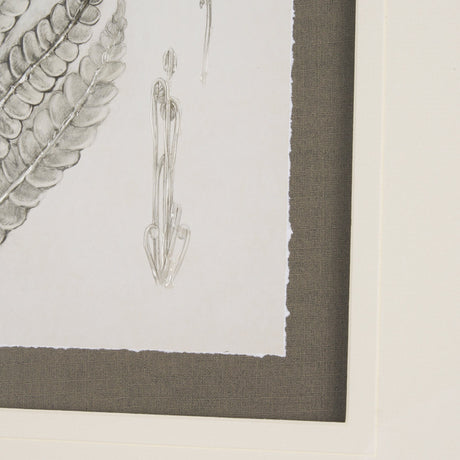 Fern Study I by Mercana Studio Hand Embelished Framed Art Print Matted under Glass by Mercana at Eve Furniture