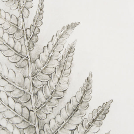 Fern Study I by Mercana Studio Hand Embelished Framed Art Print Matted under Glass by Mercana at Eve Furniture