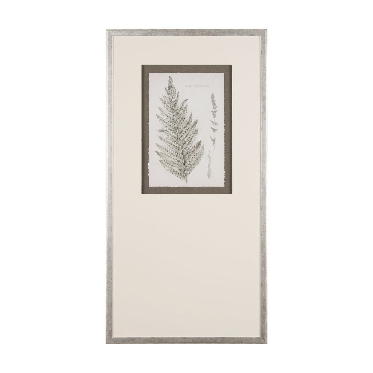 Fern Study I by Mercana Studio Hand Embelished Framed Art Print Matted under Glass by Mercana at Eve Furniture