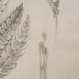 Fern Study I (Osmundastrum Cinnamomeum) by Mercana at Eve Furniture