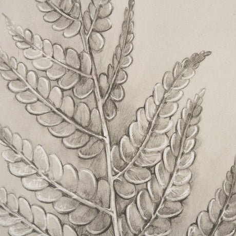 Fern Study I (Osmundastrum Cinnamomeum) by Mercana at Eve Furniture