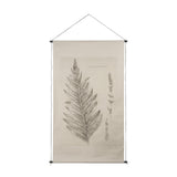 Fern Study I (Osmundastrum Cinnamomeum) by Mercana at Eve Furniture
