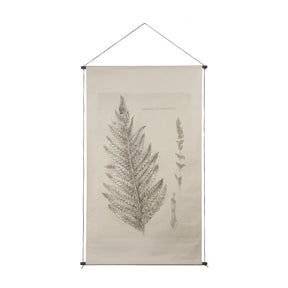 Fern Study I (Osmundastrum Cinnamomeum) by Mercana at Eve Furniture