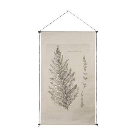 Fern Study I (Osmundastrum Cinnamomeum) by Mercana at Eve Furniture