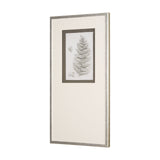 Fern Study II by Mercana Studio Hand Embelished Framed Art Print Matted under Glass by Mercana at Eve Furniture