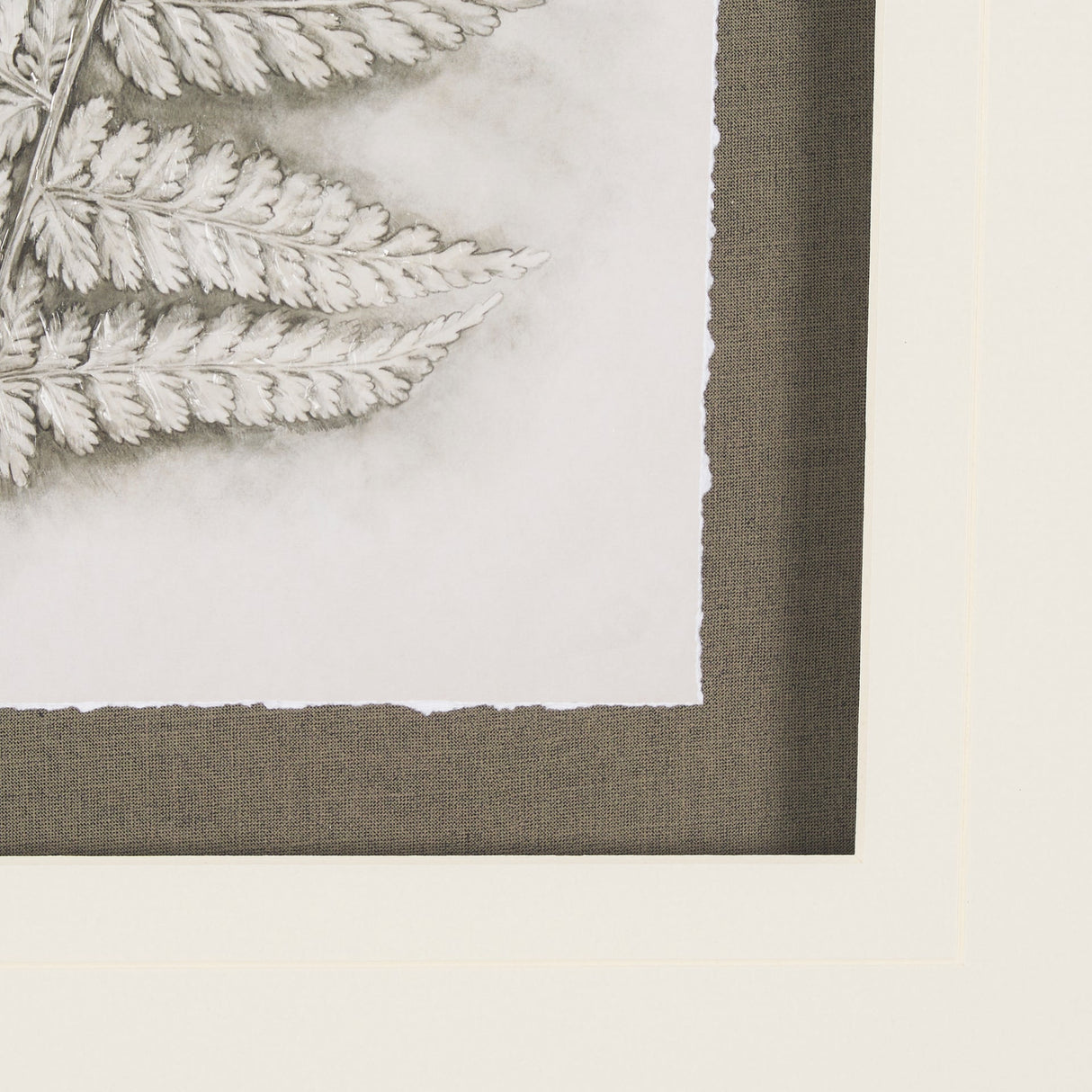 Fern Study II by Mercana Studio Hand Embelished Framed Art Print Matted under Glass by Mercana at Eve Furniture