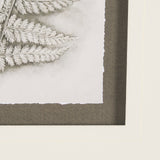 Fern Study II by Mercana Studio Hand Embelished Framed Art Print Matted under Glass by Mercana at Eve Furniture