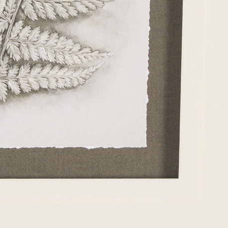 Fern Study II by Mercana Studio Hand Embelished Framed Art Print Matted under Glass by Mercana at Eve Furniture