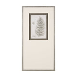 Fern Study II by Mercana Studio Hand Embelished Framed Art Print Matted under Glass by Mercana at Eve Furniture