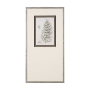 Fern Study II by Mercana Studio Hand Embelished Framed Art Print Matted under Glass by Mercana at Eve Furniture