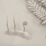 Fern Study II (Davallia Fejeensis) by Mercana Studio a Hand Embellished Framed Art Print by Mercana at Eve Furniture