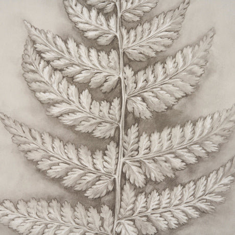 Fern Study II (Davallia Fejeensis) by Mercana Studio a Hand Embellished Framed Art Print by Mercana at Eve Furniture
