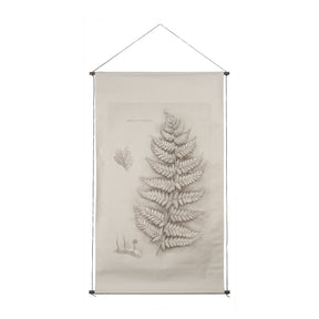 Fern Study II (Davallia Fejeensis) by Mercana Studio a Hand Embellished Framed Art Print by Mercana at Eve Furniture