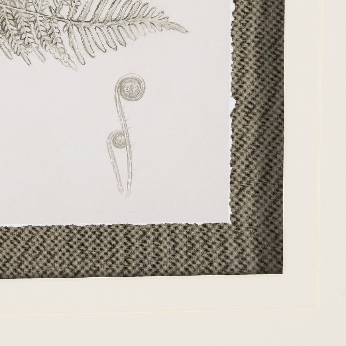 Fern Study III by Mercana Studio Hand Embelished Framed Art Print Matted under Glass by Mercana at Eve Furniture