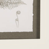 Fern Study III by Mercana Studio Hand Embelished Framed Art Print Matted under Glass by Mercana at Eve Furniture