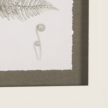 Fern Study III by Mercana Studio Hand Embelished Framed Art Print Matted under Glass by Mercana at Eve Furniture