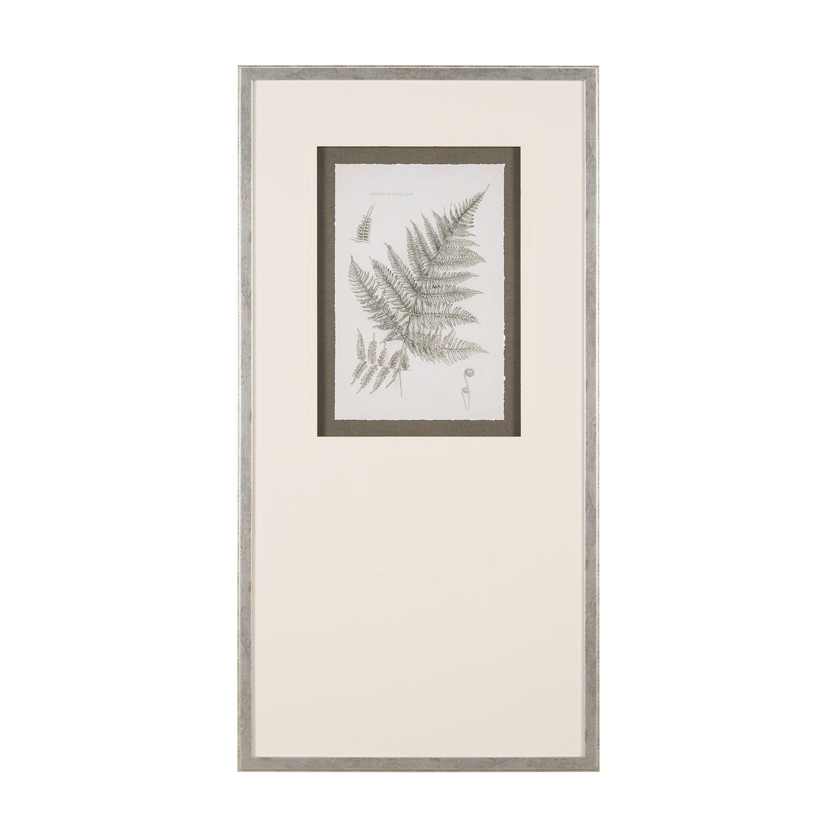 Fern Study III by Mercana Studio Hand Embelished Framed Art Print Matted under Glass by Mercana at Eve Furniture