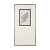 Fern Study III by Mercana Studio Hand Embelished Framed Art Print Matted under Glass by Mercana at Eve Furniture