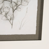Fern Study IV (Capillus Veneris) Mercana Studio Hand Embelished Framed Art Print Matted under Glass by Mercana at Eve Furniture
