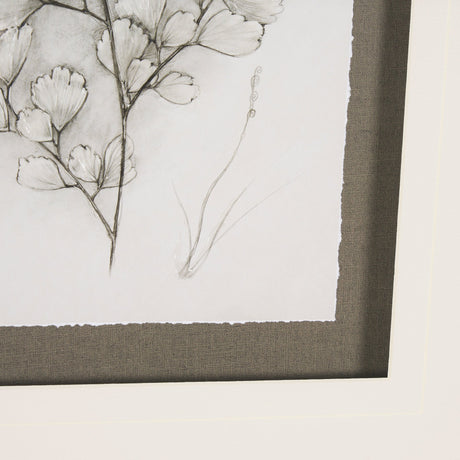 Fern Study IV (Capillus Veneris) Mercana Studio Hand Embelished Framed Art Print Matted under Glass by Mercana at Eve Furniture