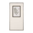 Fern Study IV (Capillus Veneris) Mercana Studio Hand Embelished Framed Art Print Matted under Glass by Mercana at Eve Furniture